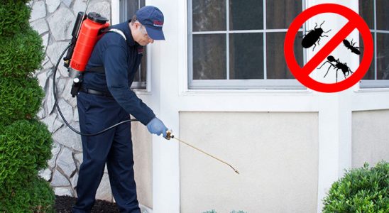 Yayladağı Kemirgen İlaçlama böcek ilaçlama ve haşere kontrolü — ilaclama-tr.com